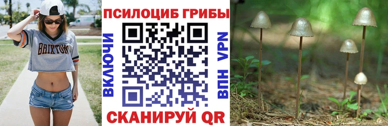 наркота  Курлово  Галлюциногенные грибы мухоморы 
